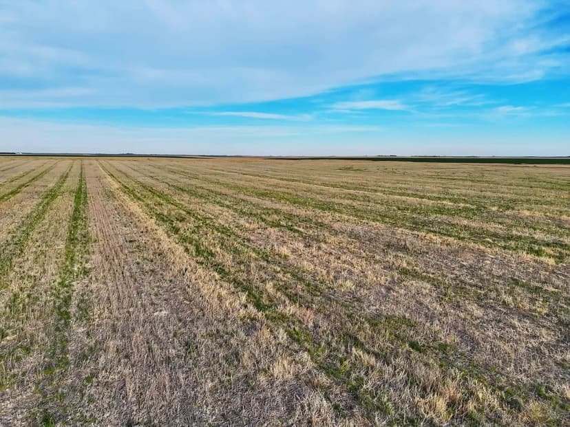 Prime Cropland Quarter with Frontage Highway Frontage