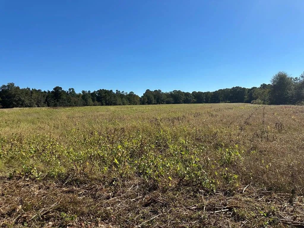 Lots & Land-Other in Poulan - Poulan, Georgia, 31781
