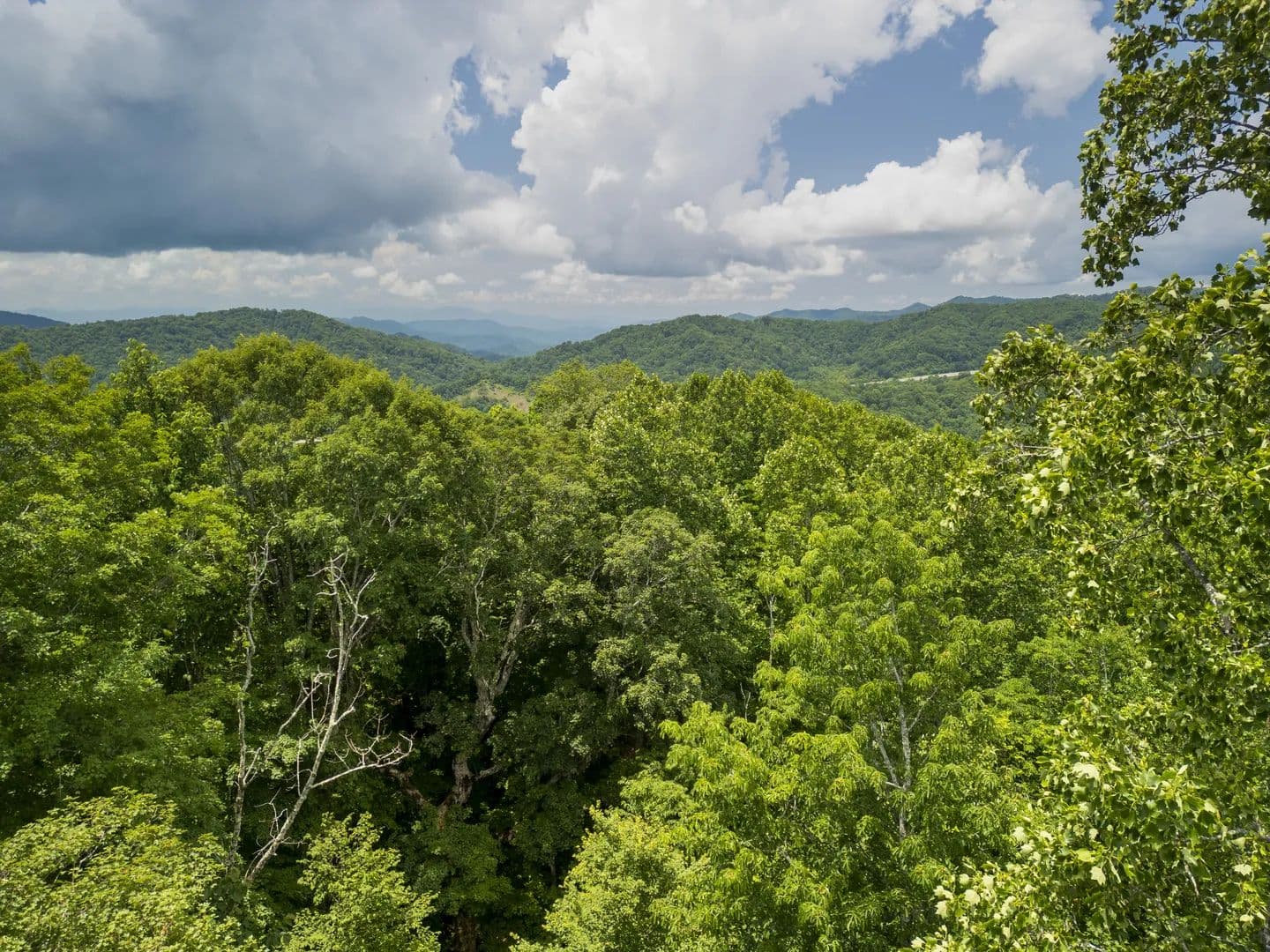 Land -Agricultural (Not Zoned) in Mars Hill - Mars Hill, North Carolina, 28754