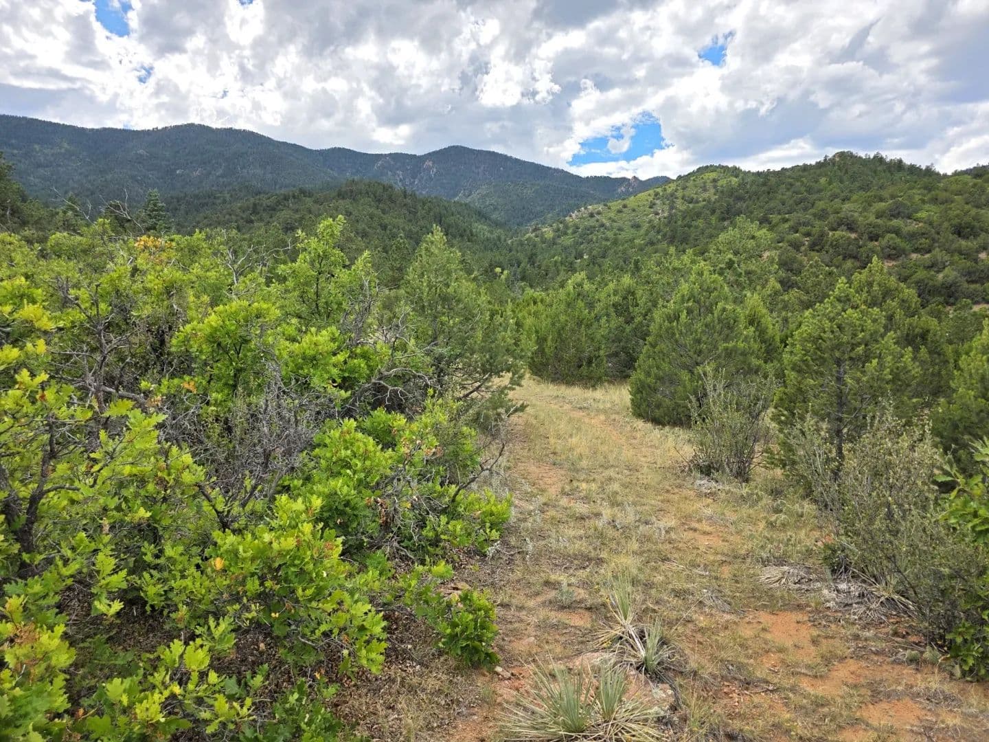 Mountain Hunting and Ranch Large Acreage in Florence, CO - Florence, Colorado, 81226