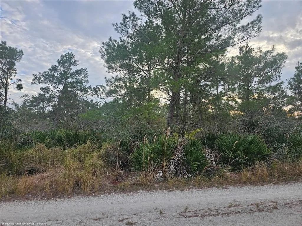 Lots & Land-Other in Sebring - Sebring, Florida, 33875