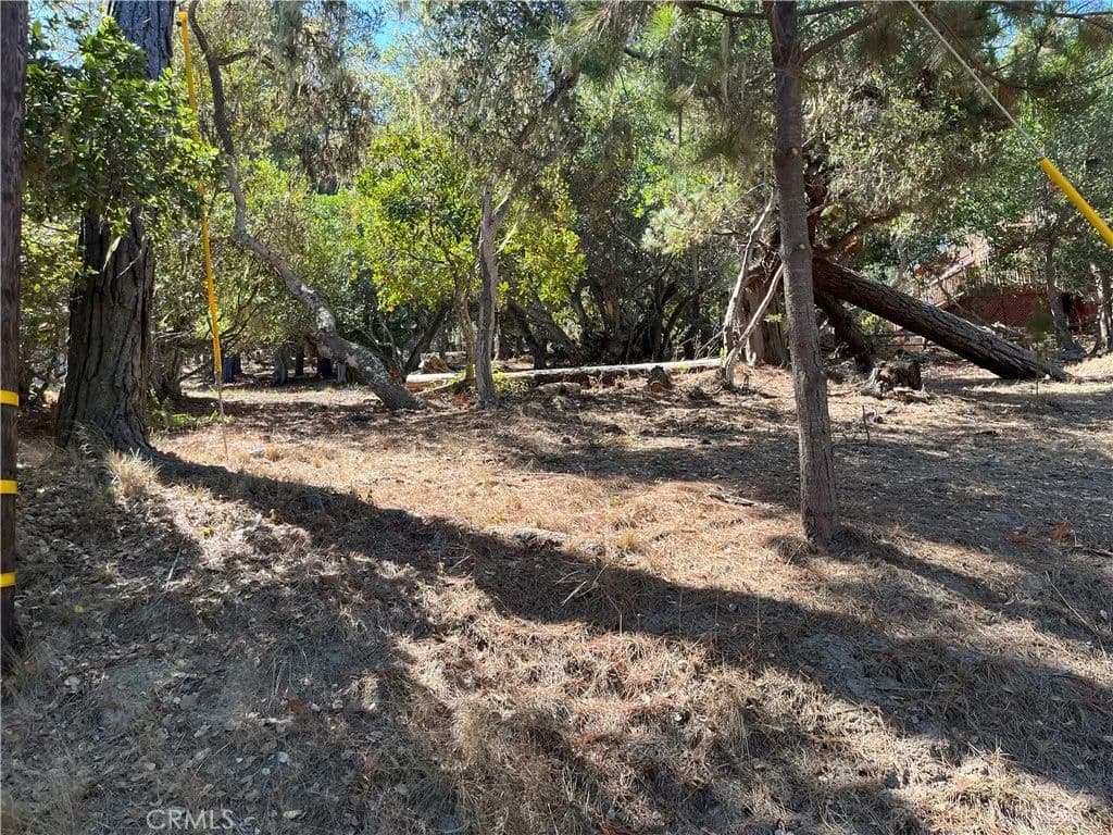 Vacant Land in Cambria - Cambria, California, 93428