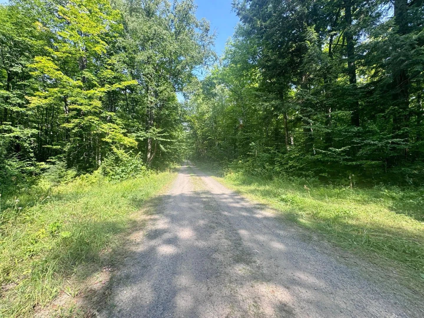 Vacant Land (10+ Acres) in Iron River - Iron River, Michigan, 49935