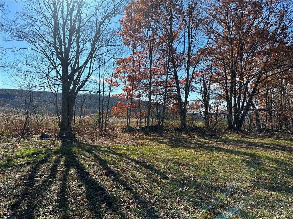 Land -Single Family Acreage in Walton - Walton, New York, 13860