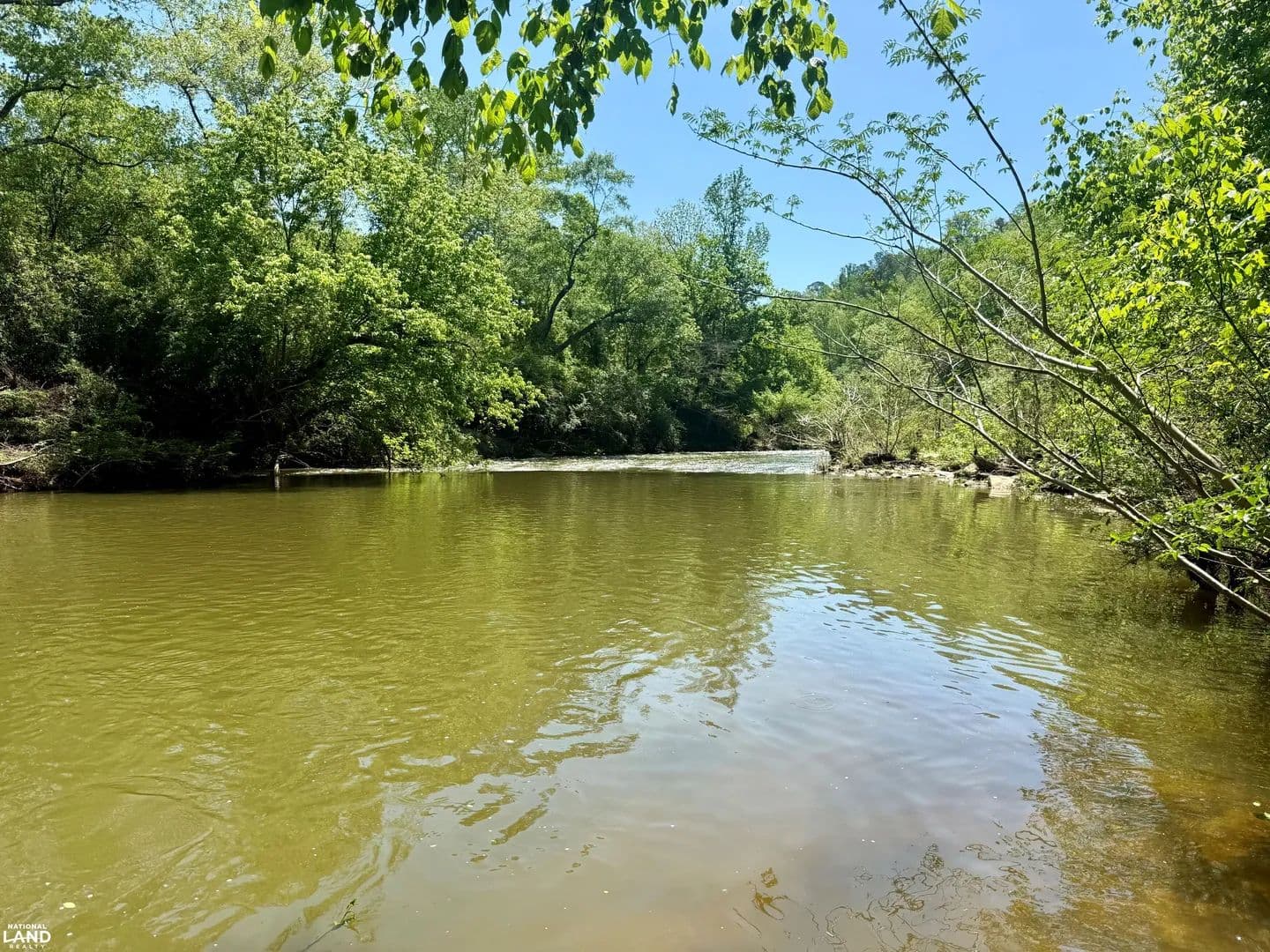Hanceville Eightmile Creek Hunting-Homestead Tract - Hanceville, Alabama, 35077