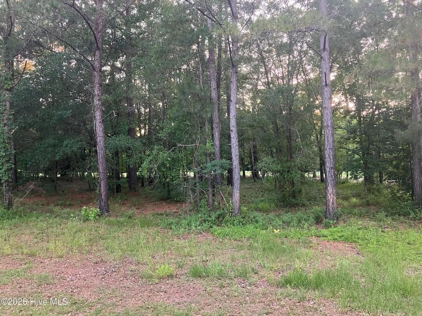 Vacant Land in Wallace - Wallace, North Carolina, 28466