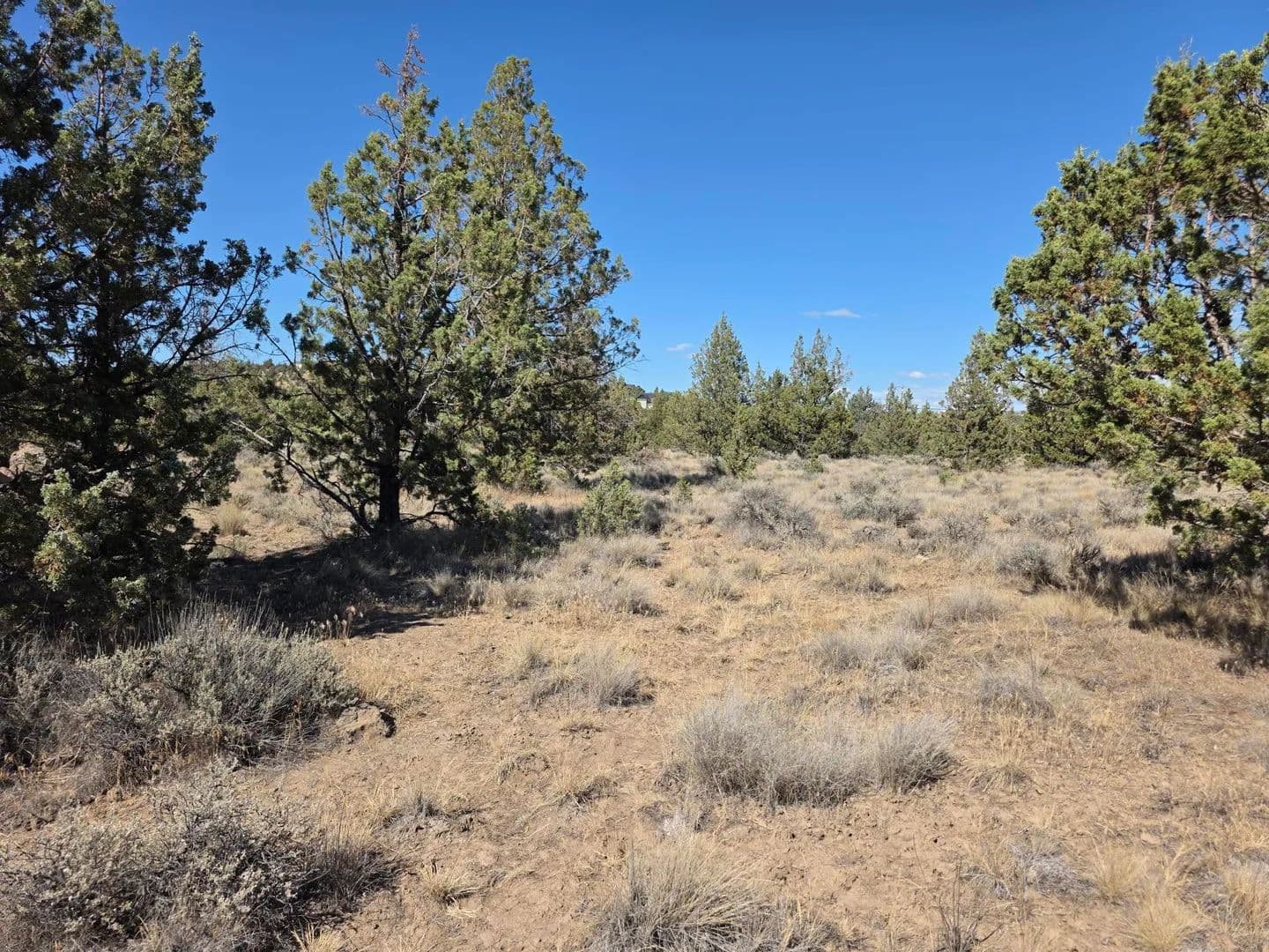 Land -Single Family Acreage in Prineville - Prineville, Oregon, 97754