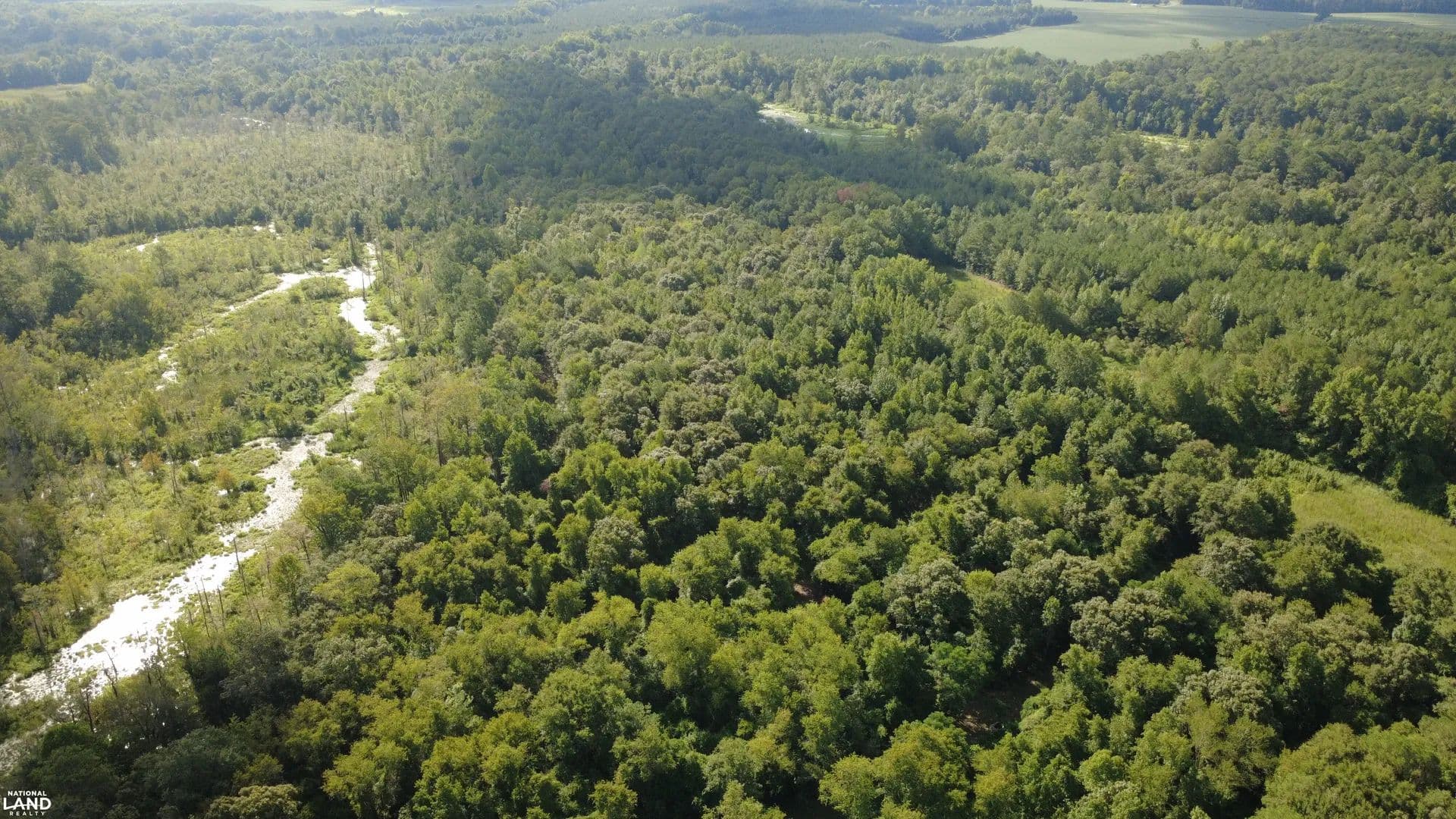 Old Camp Road Hunting Property - Rose Hill, North Carolina, 28458