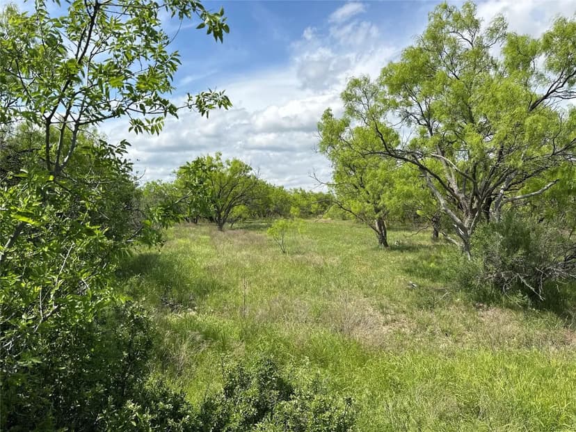 New Listing 11+/- Ac (S part Tr 19), Callahan County
