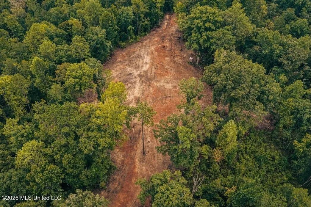 58± Acre Hunting Property in Franklin County, MS - Meadville, Mississippi, 39653