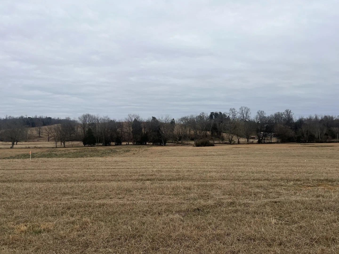 Lots & Land-Other in Moss - Moss, Tennessee, 38575