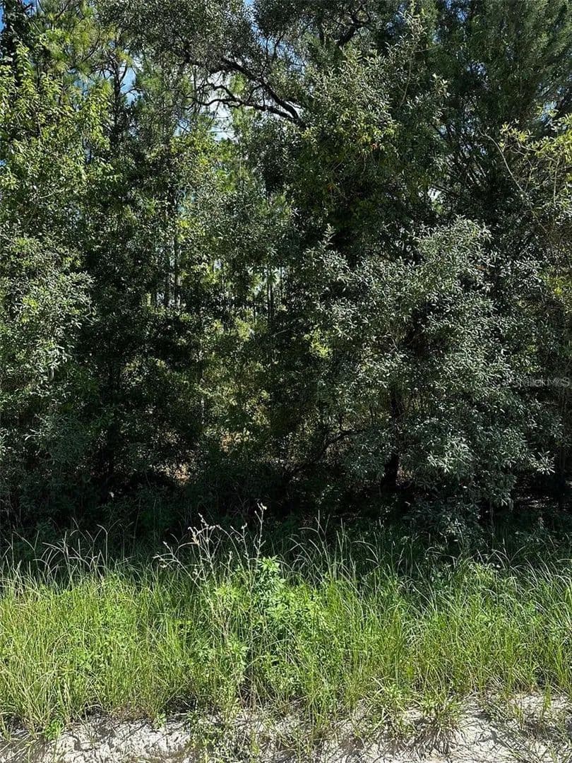 1.25 Acres of Land for Sale in Williston, Florida - Williston, Florida, 32696