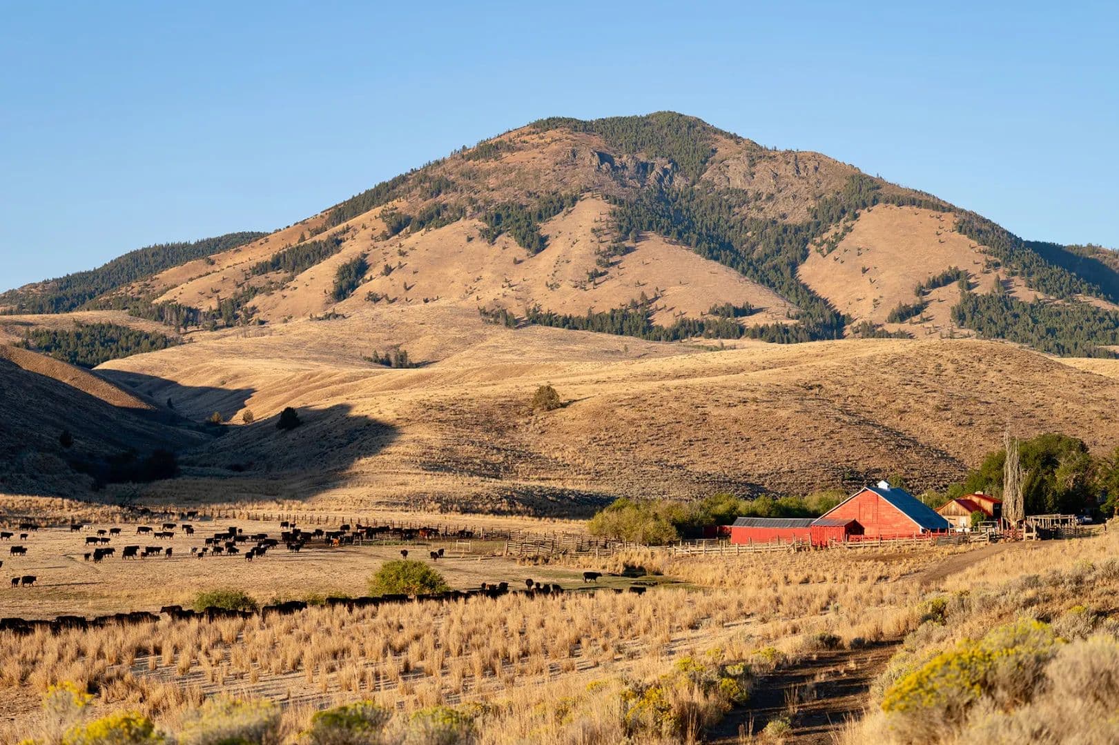 Ironside Mountain Ranch - Ironside, Oregon, 97908