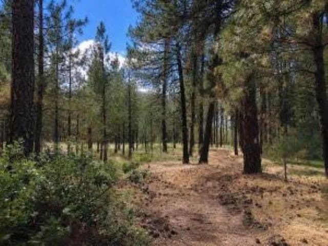 2.4 Acres of Land for Sale in Kettle Falls, WA - Kettle Falls, Washington, 991419941