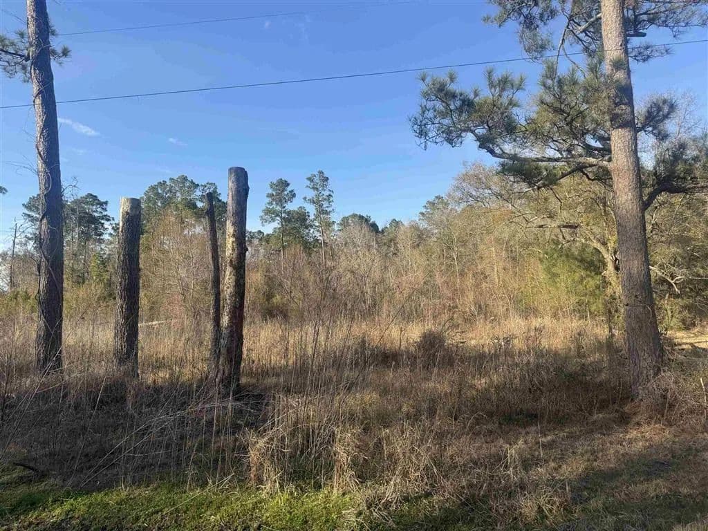 Vacant Land in Vinton - Vinton, Louisiana, 70668