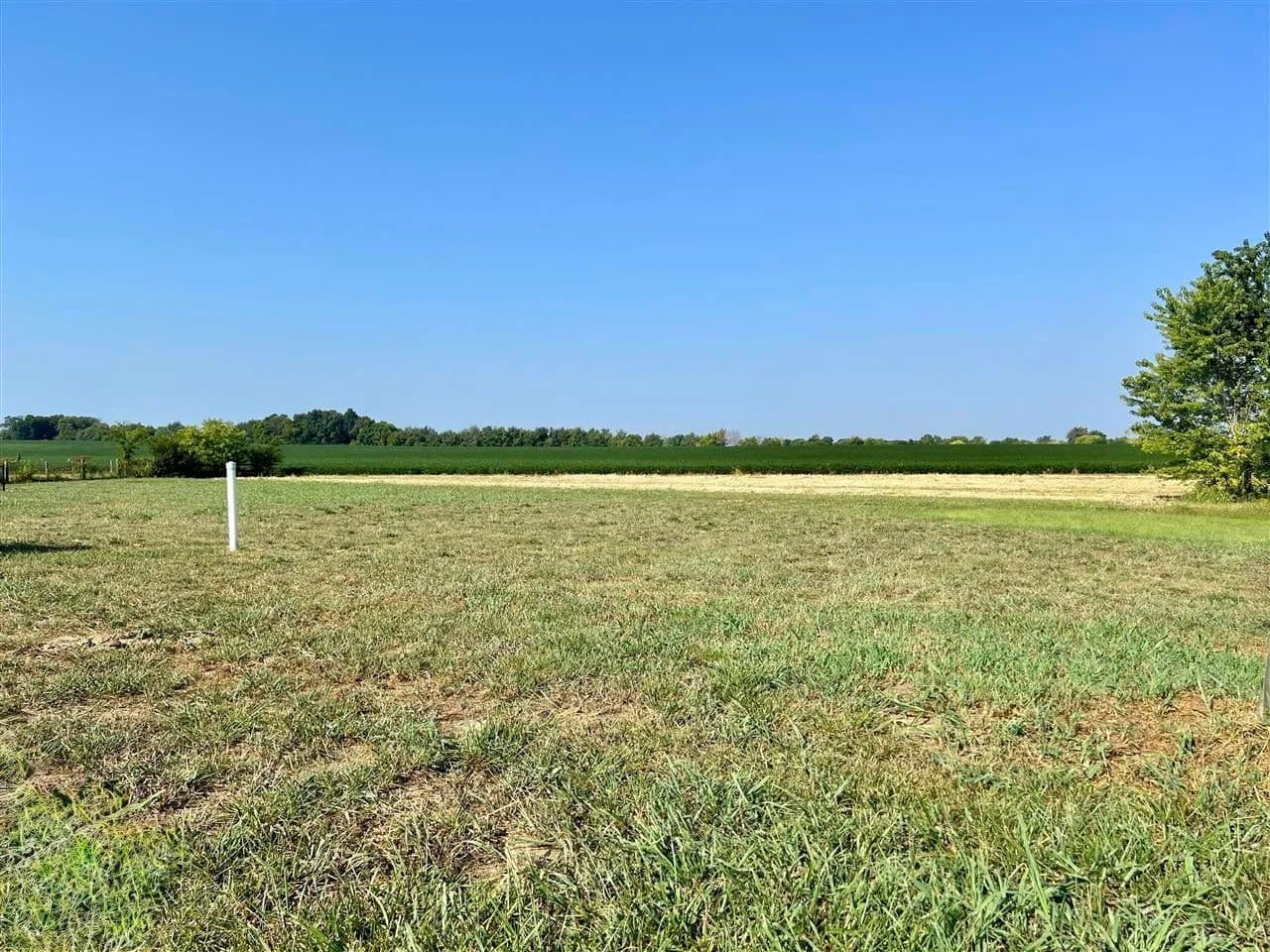 Lots & Land-Other in Franklin - Franklin, Kentucky, 42134