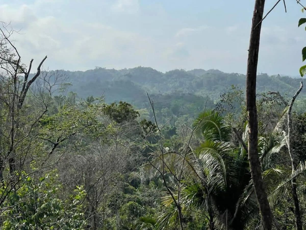 12 Acres of Land for Sale in Belmopan, Cayo District - land for sale
