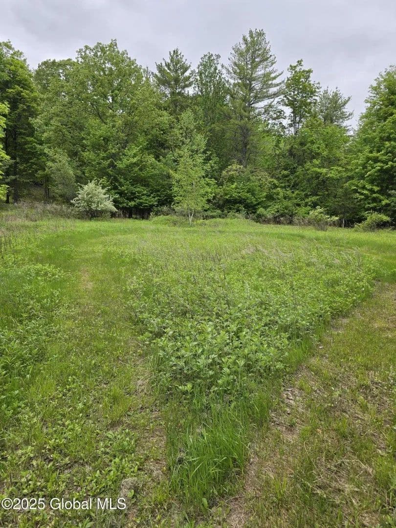 Land -Single Family Acreage in Acra