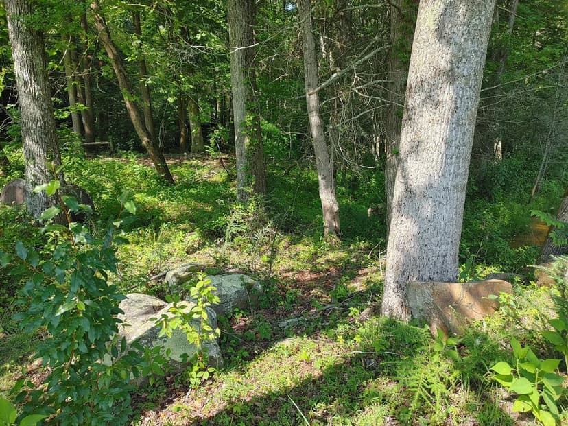 Lots & Land-Other in Middlesboro