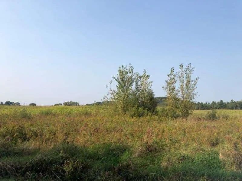 Vacant Land in Chippewa Falls