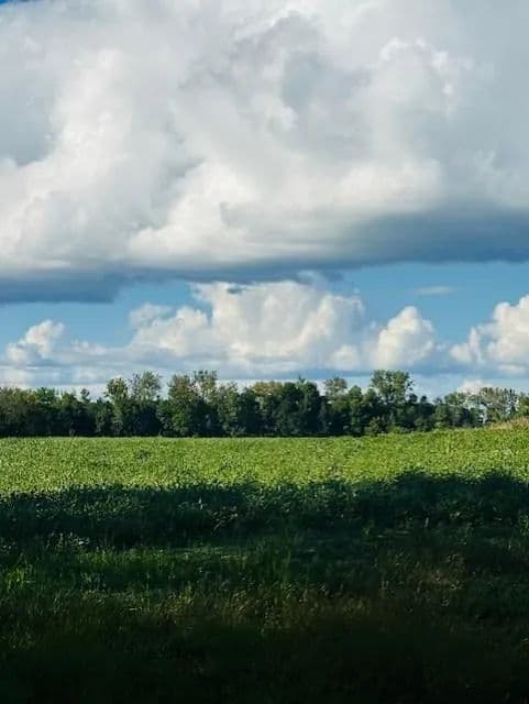 Vacant Land in Rushseba Twp