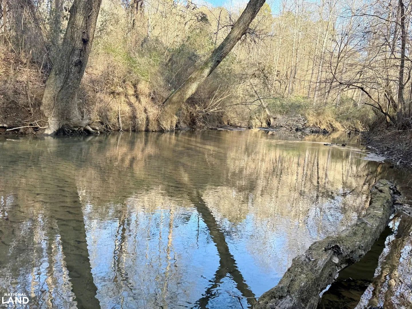 McClain Road Recreational/Homestead/Hunting Tract - Bessemer, Alabama, 35023