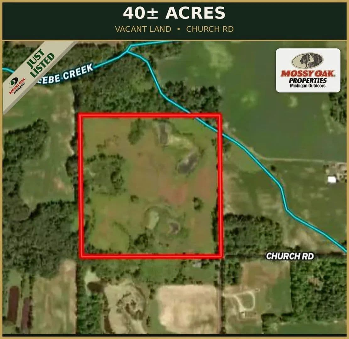 40+/- Acres of Hunting Land Hillsdale County - Hillsdale, Michigan, 29242