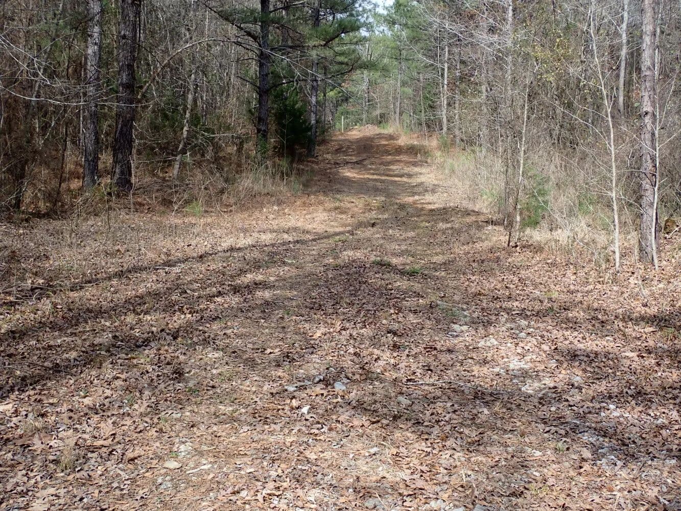 Centreville Hunting & Timber Investment - Centreville, Alabama, 35042