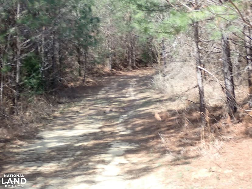 Centreville Hunting & Timber Investment