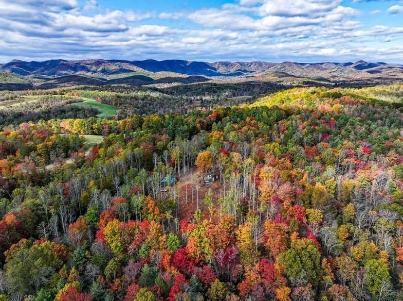 UNDER CONTRACT!!  47.0481 Acres of Hunting, Recreational, Residential, and Timber Land in Patrick County, VA!