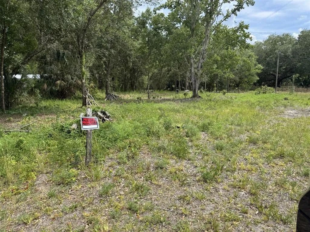 Vacant Land in Lake Wales - Lake Wales, Florida, 33898
