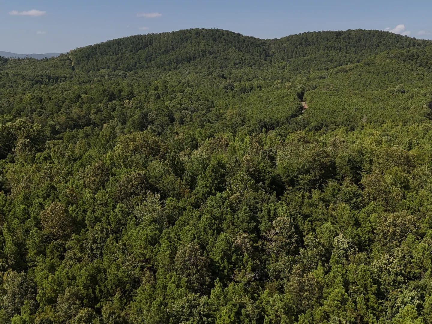 Land -Single Family Acreage in Mena - Mena, Arkansas, 71953