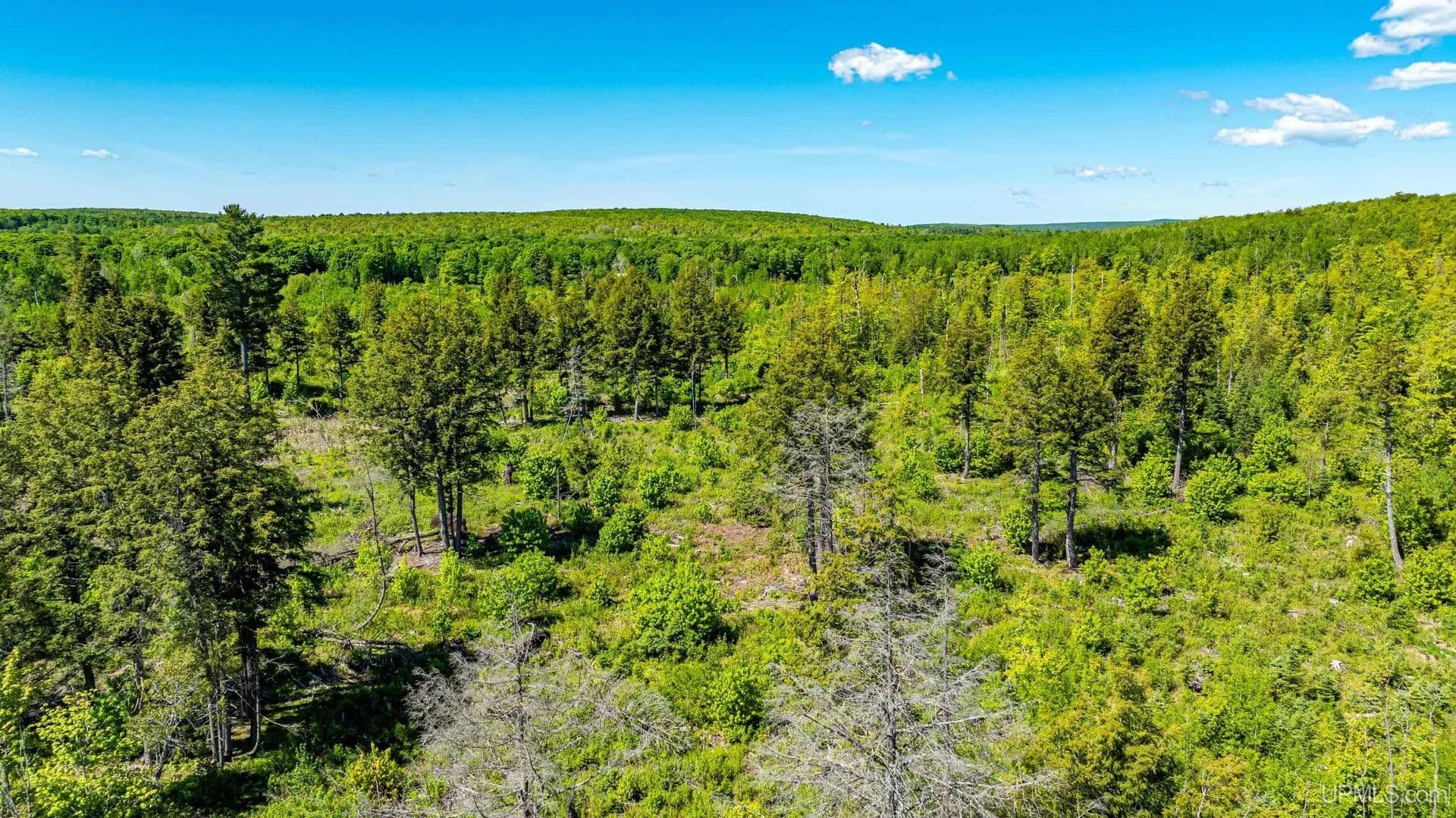 Vacant Land in Pelkie - Pelkie, Michigan, 49958