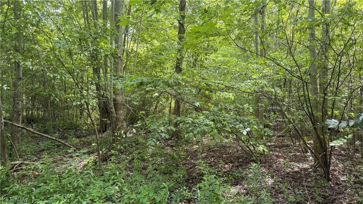 7.65 Acres of Land for Sale in Geneva, Ohio - Geneva, Ohio, 44041