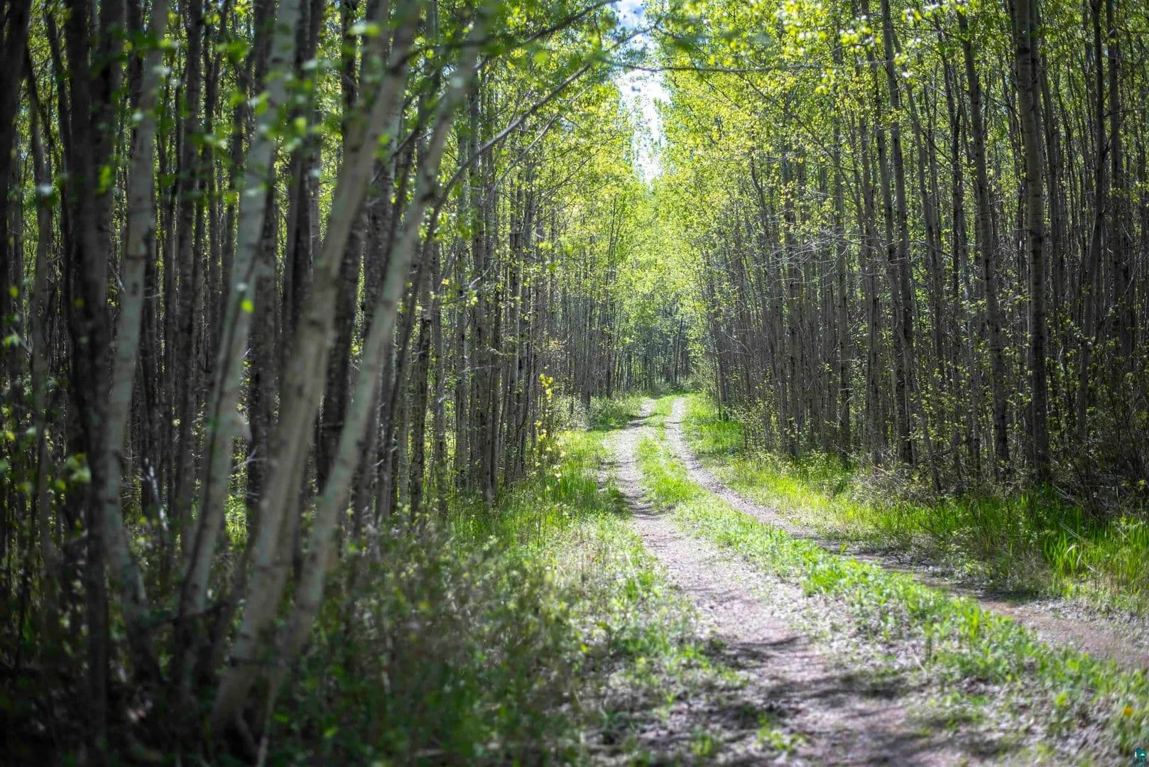 8.12 Acres of Land for Sale in Grand Marais, Minnesota - Grand Marais, Minnesota, 55604