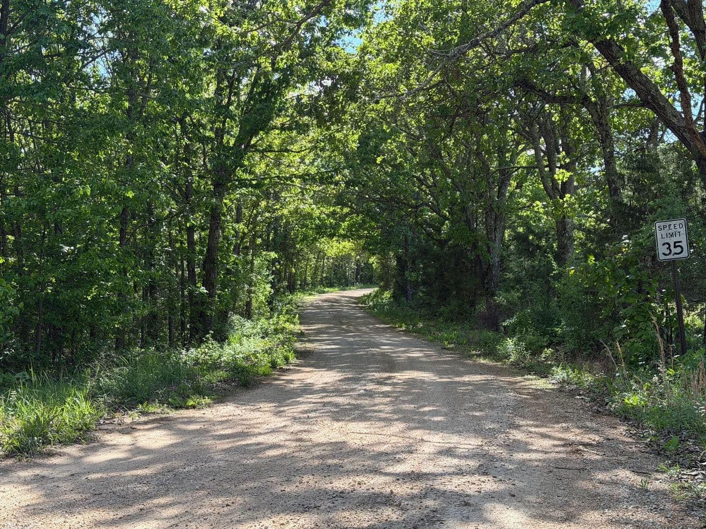Land -Agricultural (Not Zoned) in Salem - Salem, Missouri, 65560