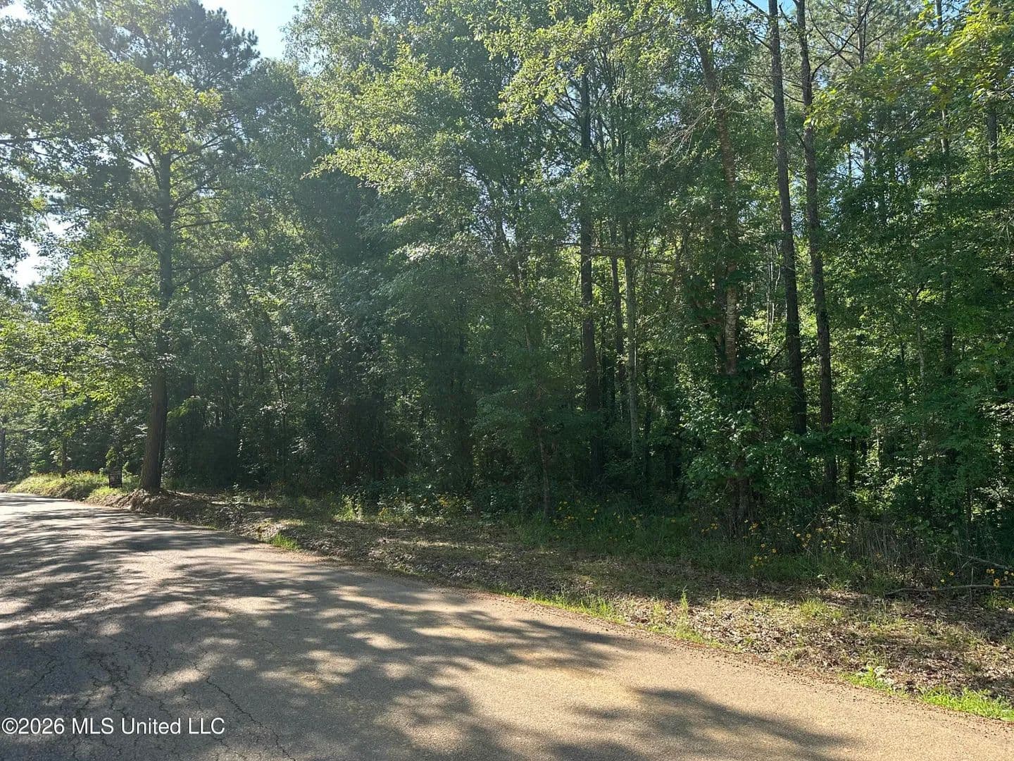 Property from J C Prestage Road - KW - Pelahatchie, Mississippi, 39145