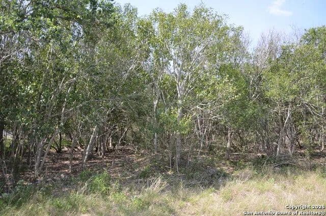 Vacant Land in San Antonio