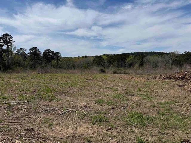 Land -Agricultural (Not Zoned) in Jacksonville - Jacksonville, Texas, 75766