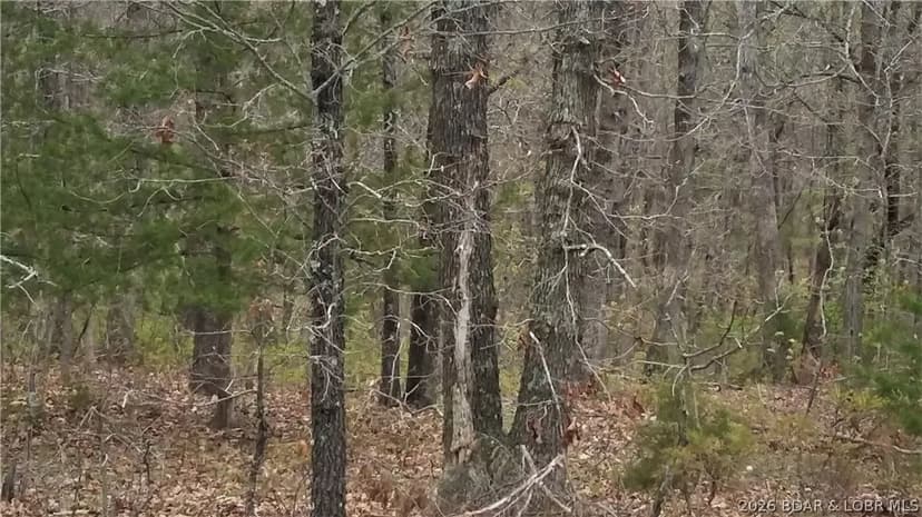 Property from TBD MO STATE HWY-W - KW