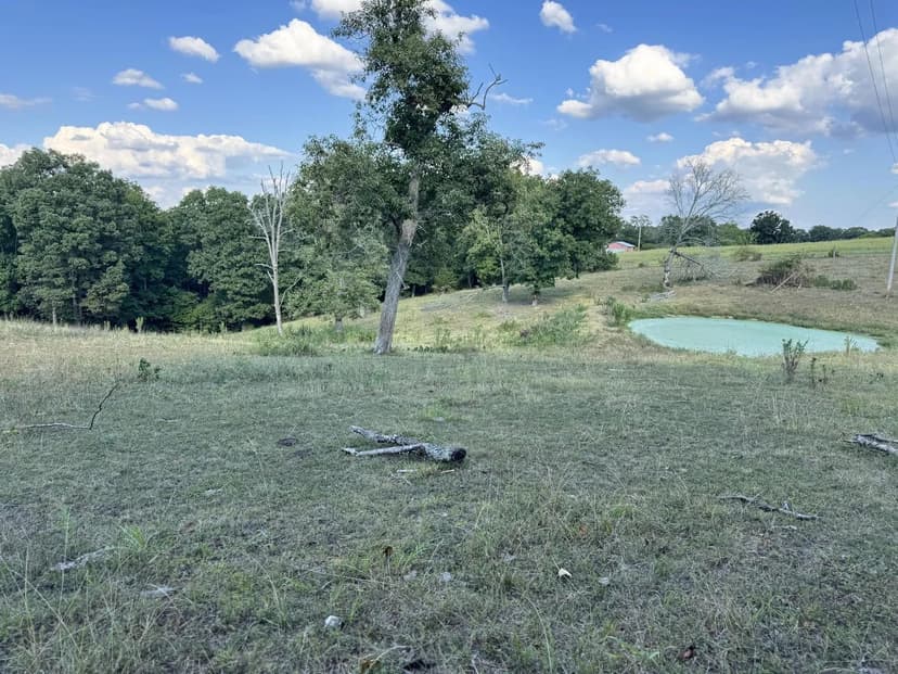 Lots & Land-Other in Ozark