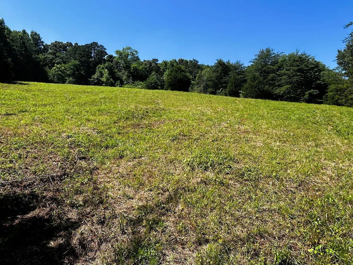 Property from 1060 County Road 130 - KW - Riceville, Tennessee, 37370