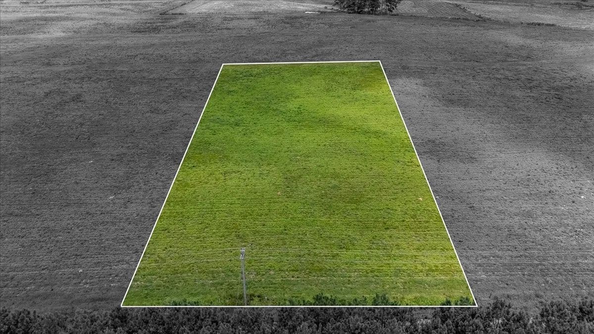 Vacant Land in Leoma - Leoma, Tennessee, 38468