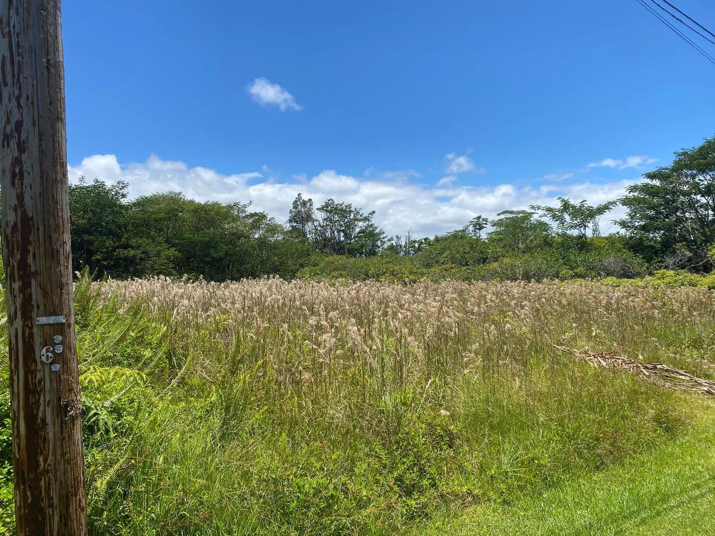 Vacant Land in Pahoa - Pahoa, Hawaii, 96778