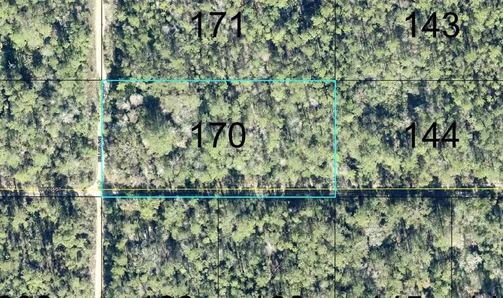 Vacant Land in Hastings - Hastings, Florida, 32145