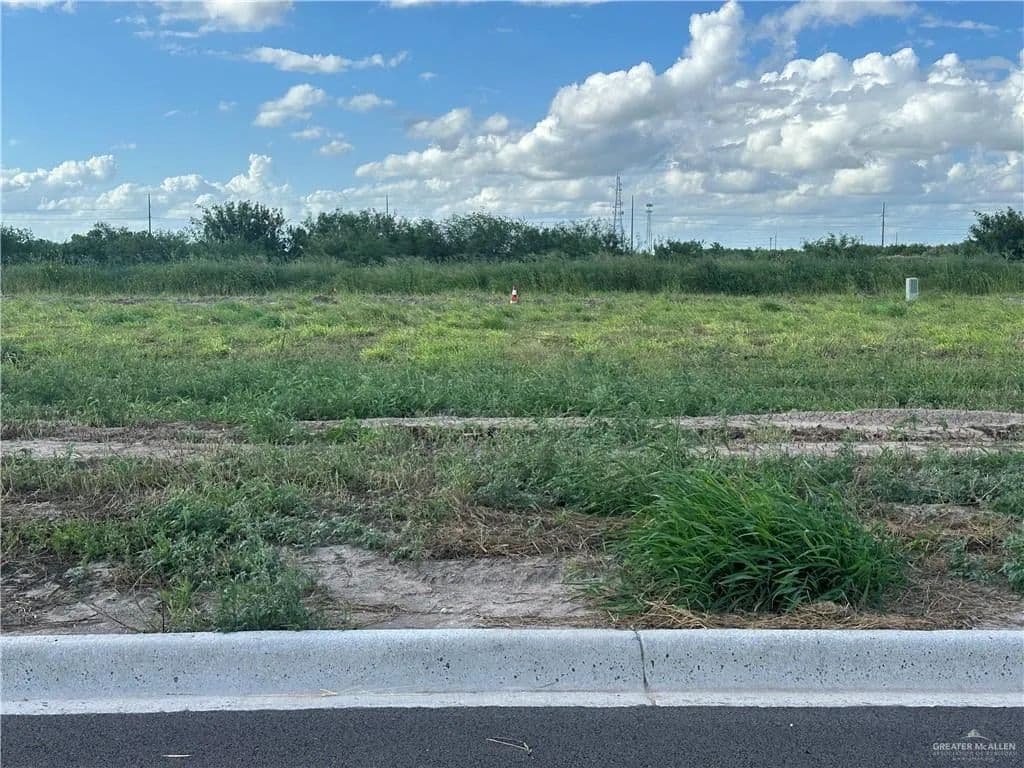 0.19 Acres of Land for Sale in Donna, TX - Donna, Texas, 78537