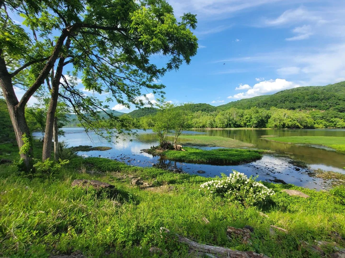 Lots & Land-Other in Hinton - Hinton, West Virginia, 25951
