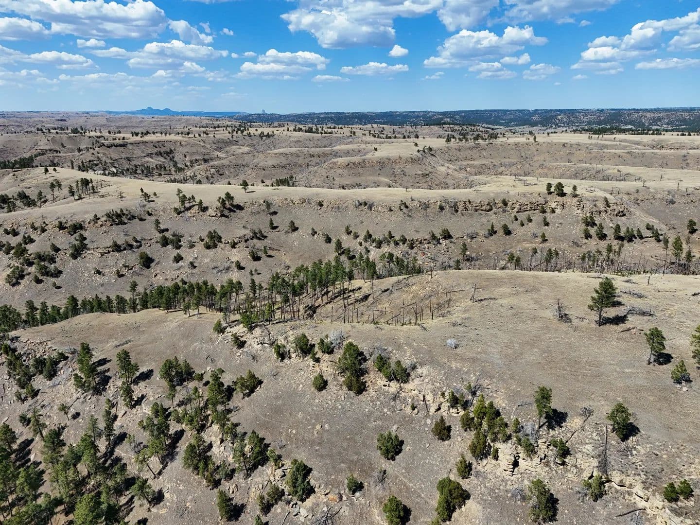 Tower Lookout Ranch - Pine Haven, Wyoming, 82721