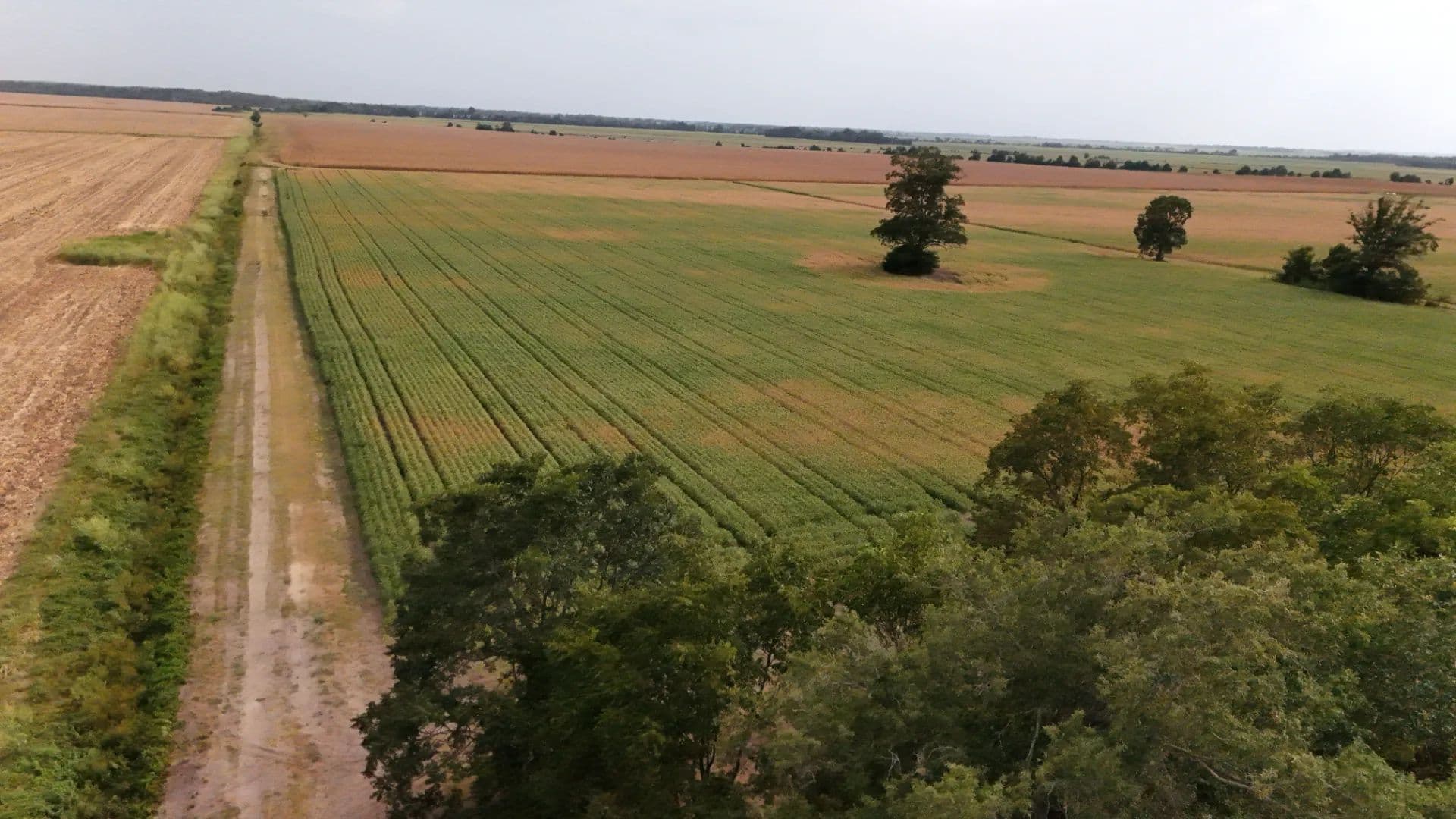 20 Acres in Tallahatchie County, MS  - Tutwiler, Mississippi, 38963