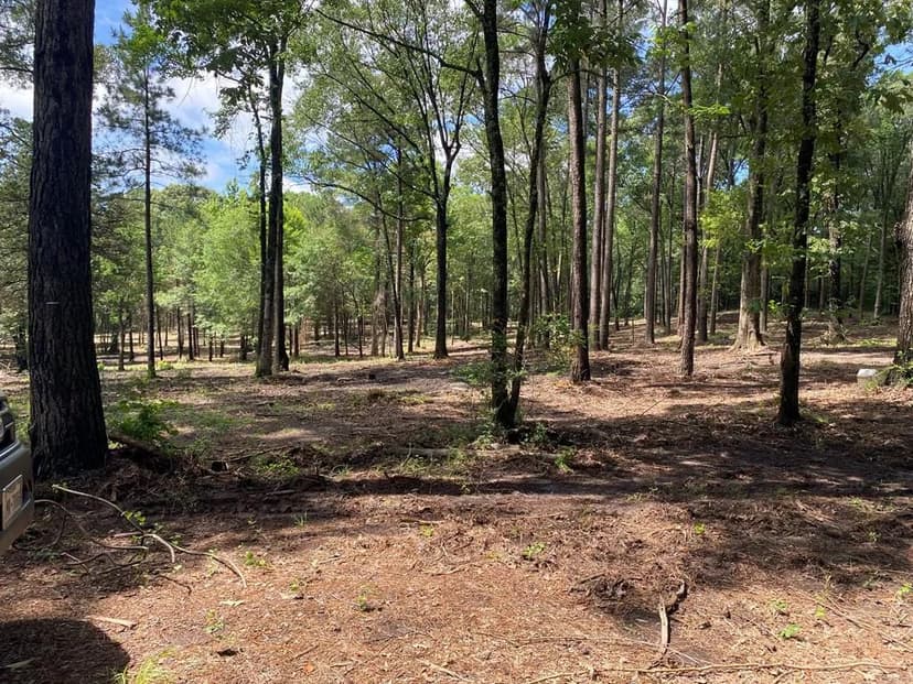 Lots & Land-Other in Joaquin